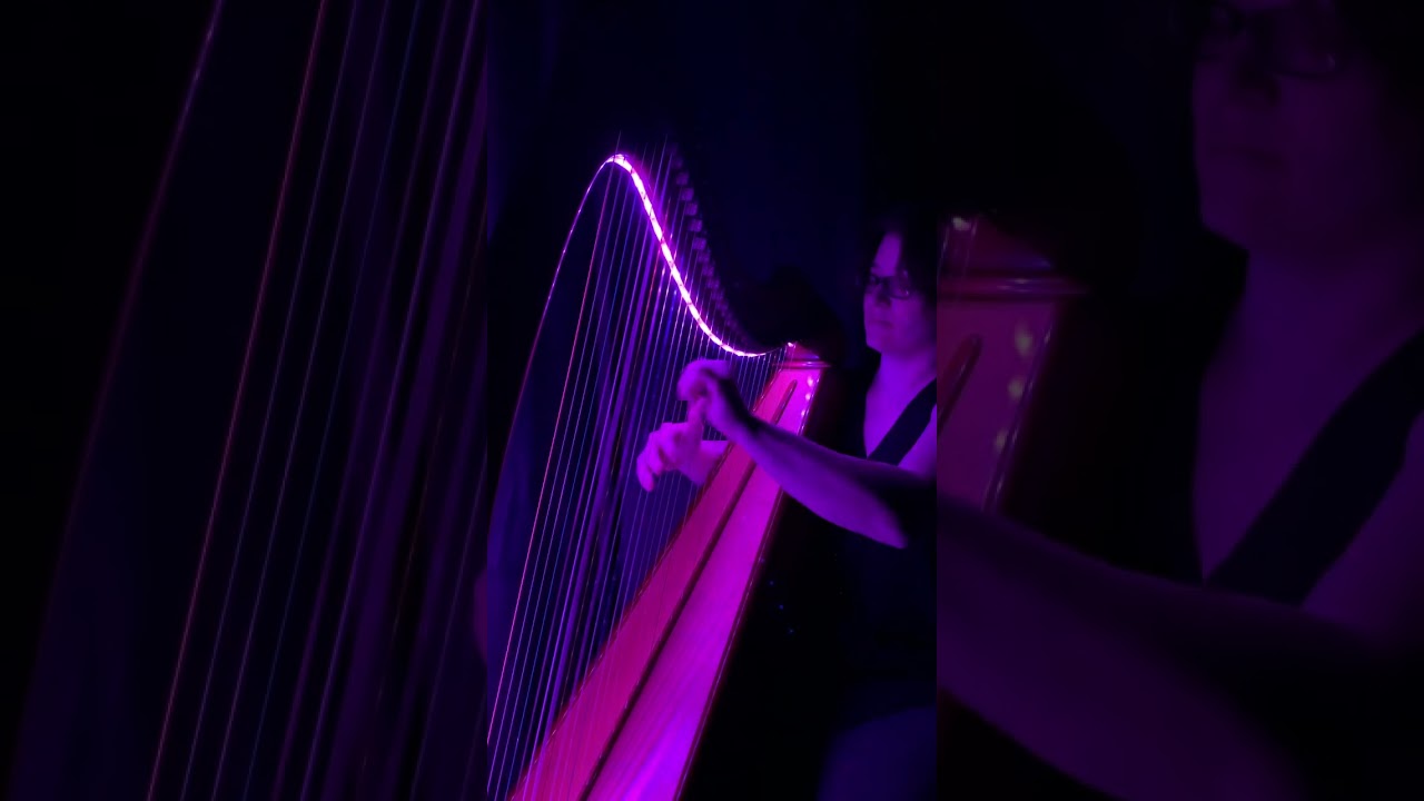 Promotional video thumbnail 3 for The Illuminated Harpist
