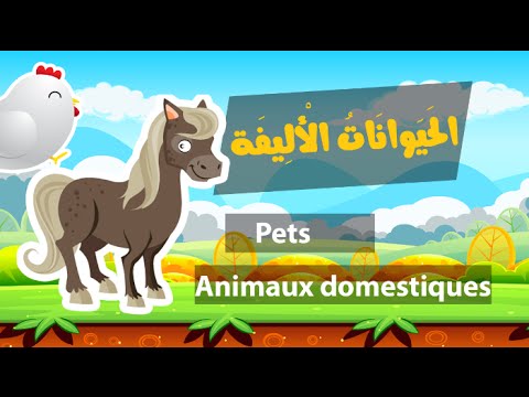 Learn arabic (pets) – Apprendre l’arabe (animaux domestiques) – الحيوانات الأليفة باللغة العربية