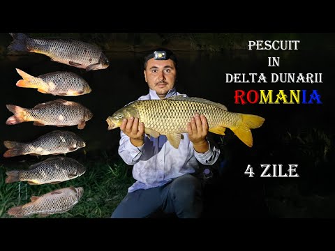 4 zile in Delta Dunării: Pescuit, Gătit, Camping și… O Amendă de Neuitat