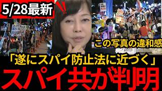 [日本保守党]※この写真の違和感分かりますか？スパイ防止法に反対するデモが国会前で。[百田尚樹 有本香]