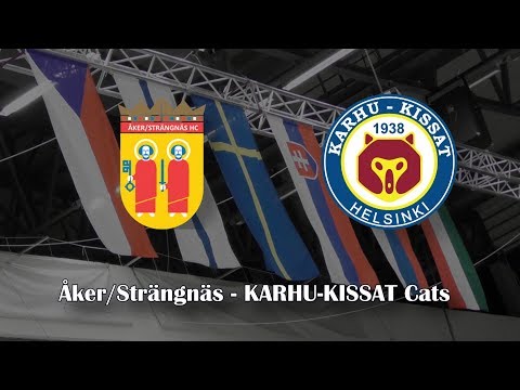 14.04.2018 Cats Game 3