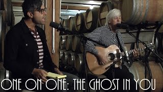 ONE ON ONE: Robyn Hitchcock - The Ghost In You November 10th, 2014 City Winery New York
