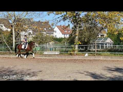 Buckingham wallach geb  2016 neues Video