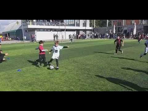 Feniks kup // Žarkovo 1 - Mačva