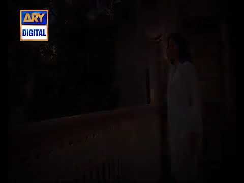 Zindagi Dhoop Tum Ghana Saya