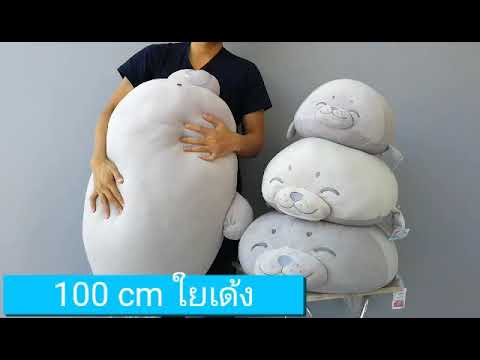 หน้าอกเล็กขนาดใหญ่ ทำไมฉันมี 13 หน้าอกเล็ก