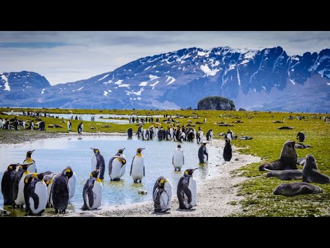 ANTARKTIDA RREZIKON TE BEHET JESHILE !!! CFARE PRITET TE NDODH...