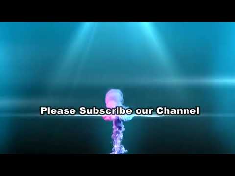 https://youtu.be/Vaz_kpmTi0M - YouTube