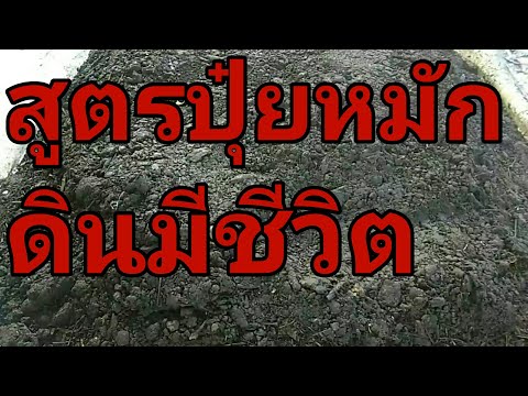 #ทำปุ๋ยหมัก#แหนแดงทำปุ๋ยหมัก
สูตรปุ๋ยหมักลดต้นทุน