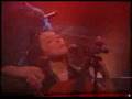 Spinvis - Flamingo 
