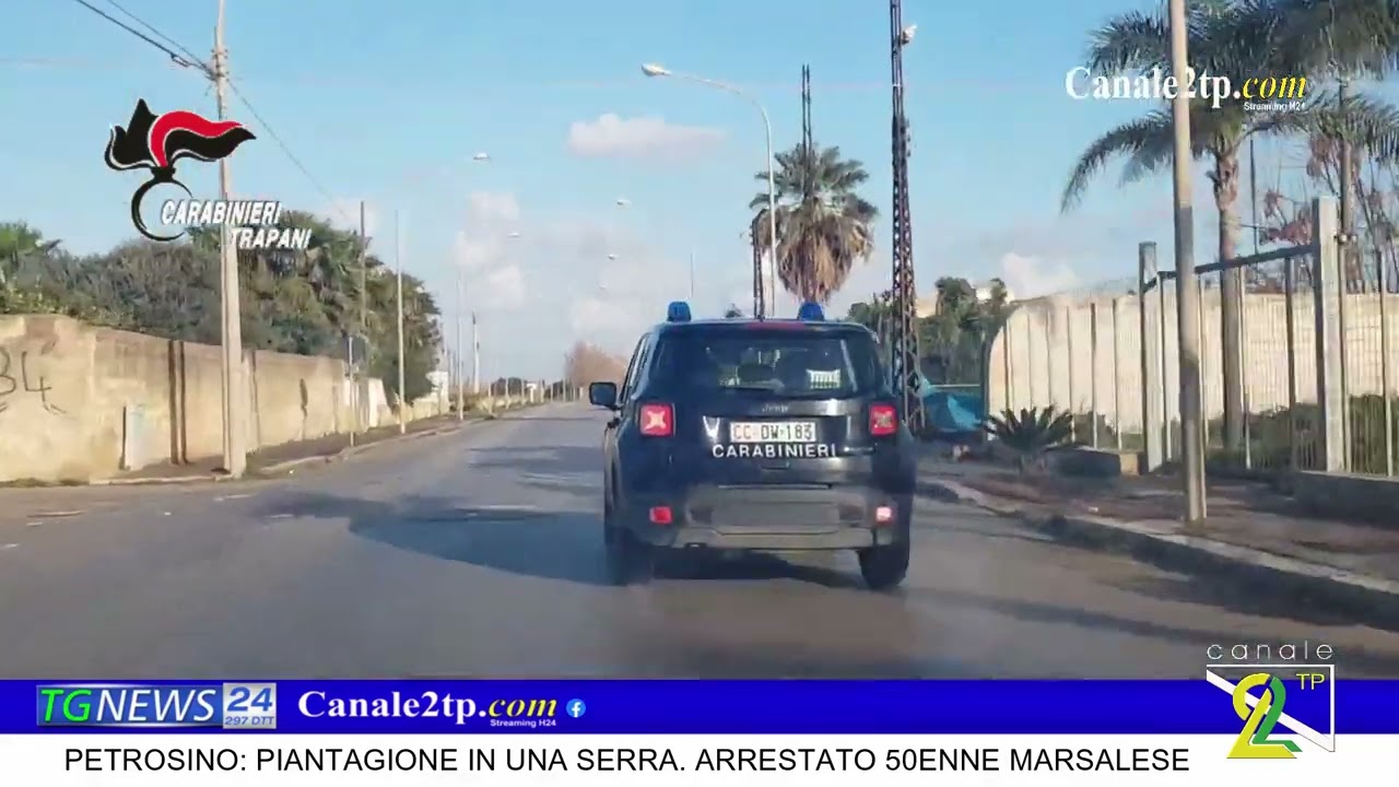 PETROSINO: PIANTAGIONE IN UNA SERRA. ARRESTATO 50ENNE MARSALESE