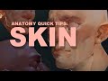 Anatomy Quick Tips Skin