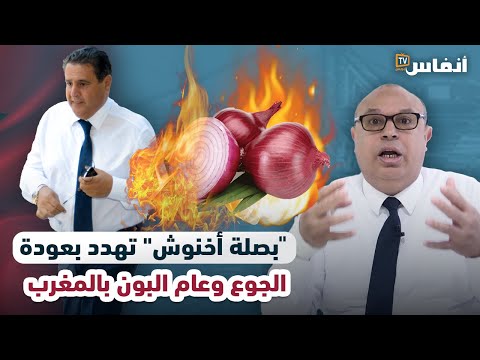 "بصلة أخنوش" تهدد بعودة الجوع وعام البون بالمغرب
