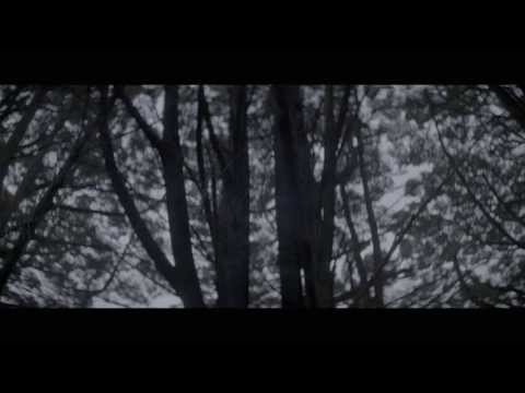 Karnivool We Are - Official Video