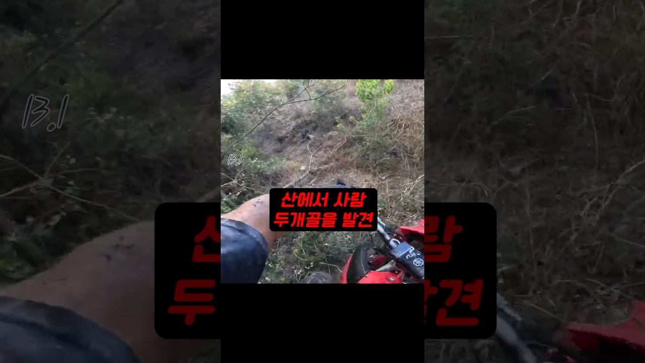 산 속에서 두개골과 척추뼈를 발견