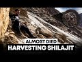 We Almost Died Harvesting Shilajit In The Himalayan Mountains