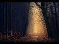 Allégro By Emmit Fenn 2 Hour Loop Sad Emotional Piano Healing Music Relaxing Music