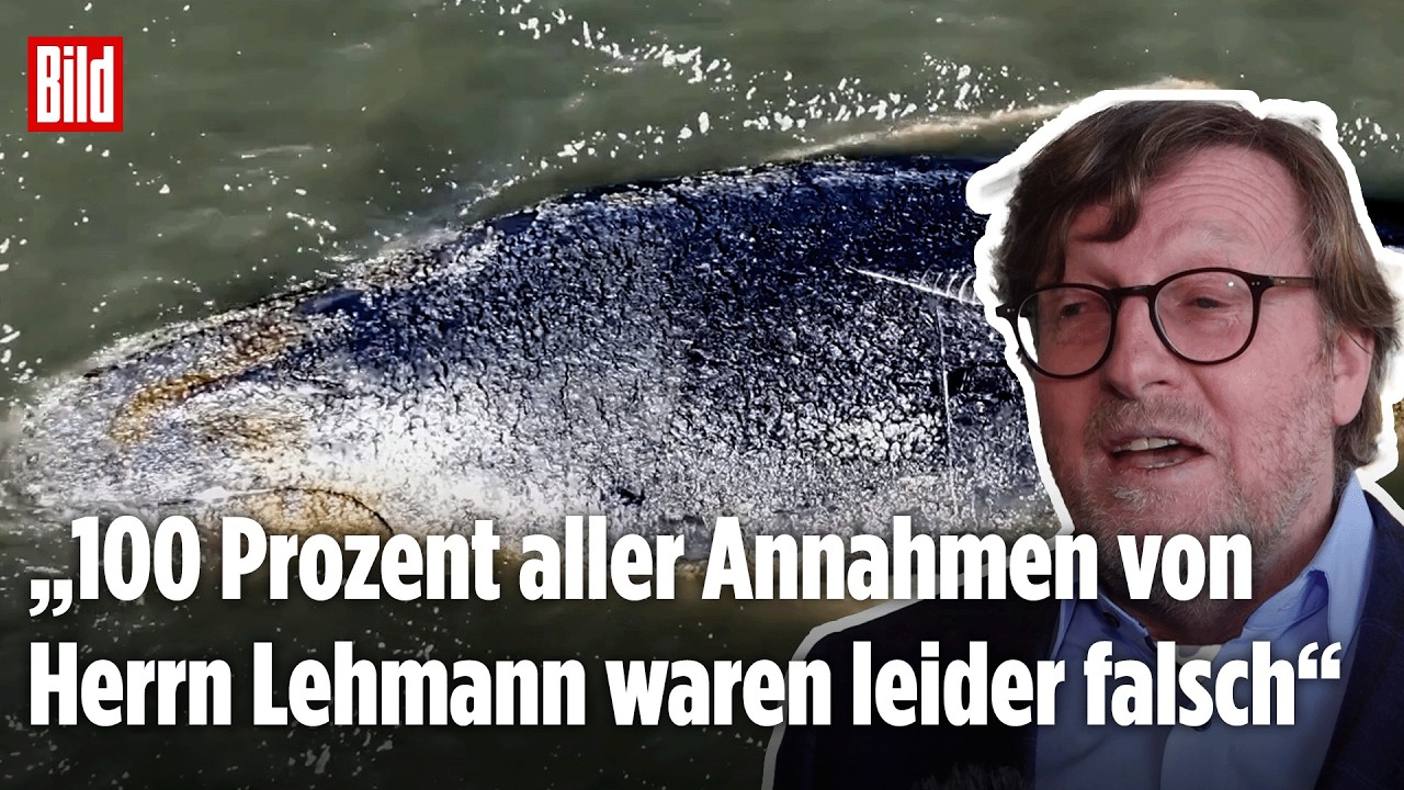 OSTSEE-WAL: Bürgermeister des Timmendorfer Strands kritisiert Robert Marc Lehmann