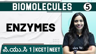 BIOMOLECULES - 05 | Enzymes | Botany | PUC 1 / KCET / NEET