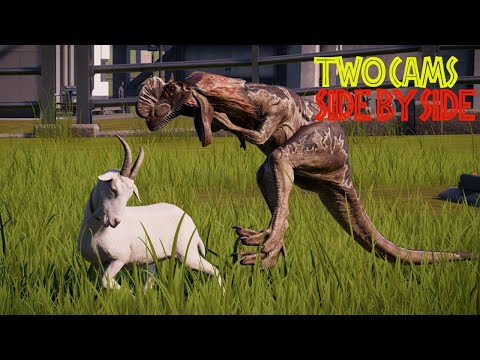 All Small Carnivores Hunting Goat | Jurassic World Evolution