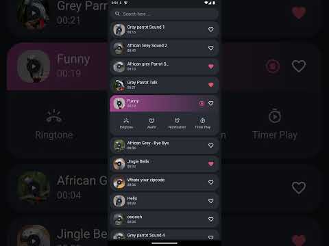 African Grey Parrot Sounds Video