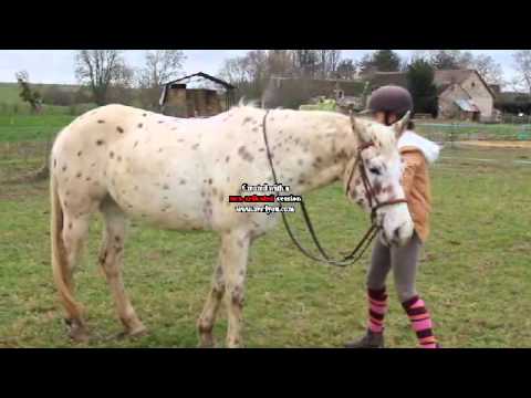 comment monter a cheval a cru