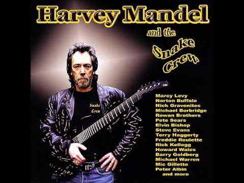 Harvey Mandel and the Snake Crew - Baby Batter II