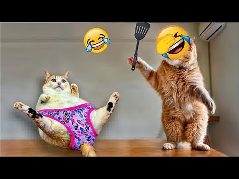 You Laugh You Lose😹Funniest Dogs and Cats 2024😻🐶