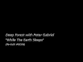 [Re-Edit] Deep Forest with Peter Gabriel / "While ...