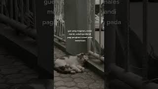 Download lagu STORY WA 30 DETIK ✴️ || STORY WA TERBARU || STATUS WA 30 DETIK || STORY WA KEREN #Shorts mp3