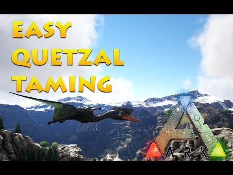 Easiest Way to Tame a Quetzal solo!