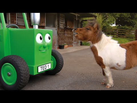 Juicy Squeezy & Other Stories (Trailer/3 episodes)