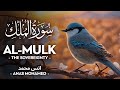 Surah Al Mulk سورة الملك أنس محمد Anas Mohammad Quran Recitation 4K