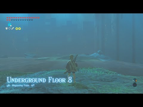 Breath of the Wild Trial of the Sword Beginning Trials Floor 8 Gameplay Walkthrough