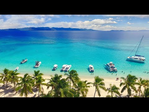 Soggy Dollar Bar LIVE Webcam on White Bay, Jost Van Dyke, BVI