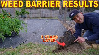 I Put WEED BARRIER On My Lawn 3 Years Ago And THIS HAPPENED!