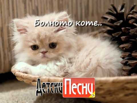 Болното коте