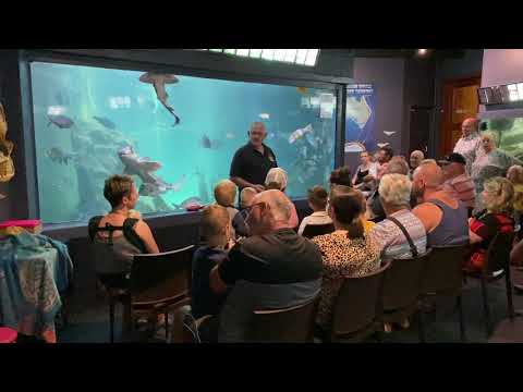 Merimbula Aquarium and Wharf Restaurant