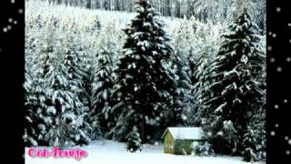 1955 - Nelson Gonçalves e Trio de Ouro - Natal Branco (White Christmas) (Foxtrote)