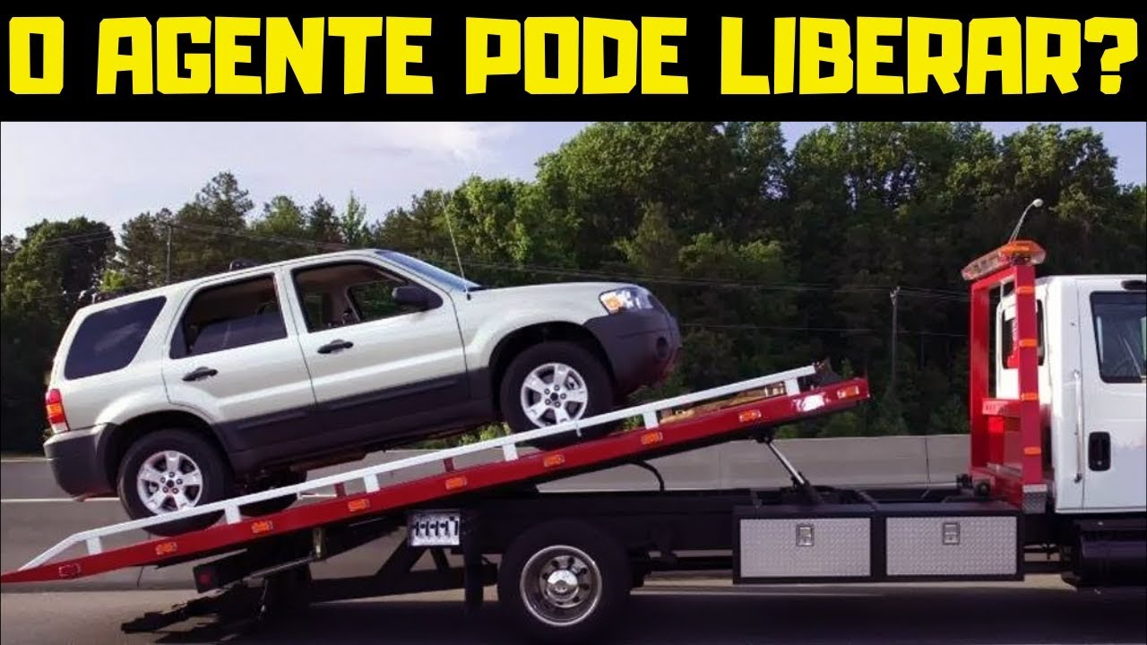 ESTACIONAMENTO PROIBIDO: CURIOSIDADES II