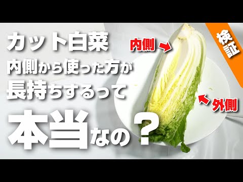 白菜を正しく保存する 庭の練習