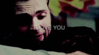 Montage Lincoln et Faux-livia 2
