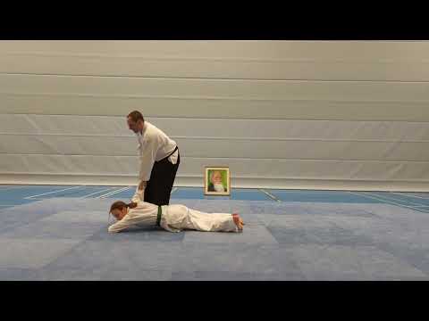 Aikido - Ikkyo (Ude-osae) gegen Ushiro-kata-tori