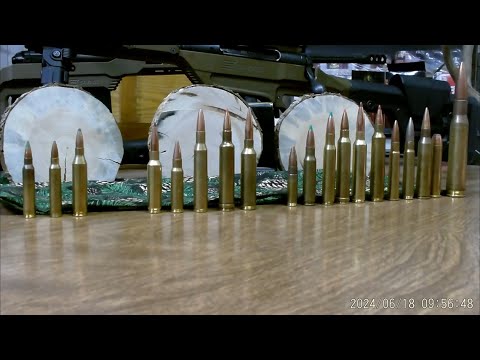 Was ist die beste Jagdpatrone aller Zeiten?