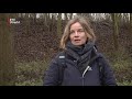 Bomenwachters willen bomenkappen in Amelisweerd tegenhouden  [RTV Utrecht]