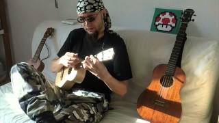 Questing Upon the Poop Deck (Alestorm ukulele cover)