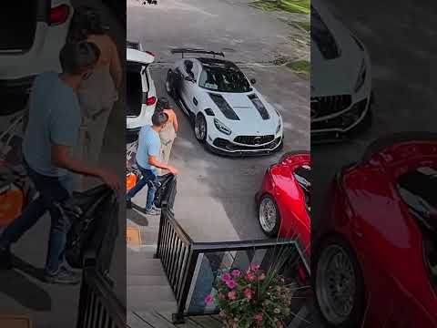 Squirrel Dont Like Amg #funny #viral #trending #mercedes #mercedesbenz #amg