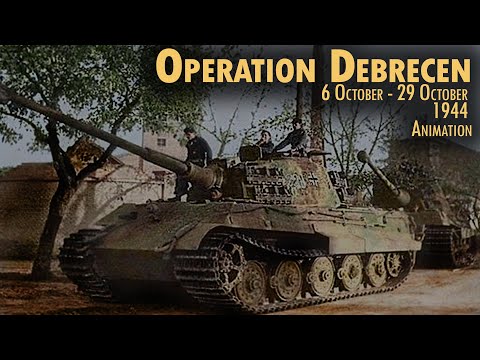 CBD for Cats Video Preview