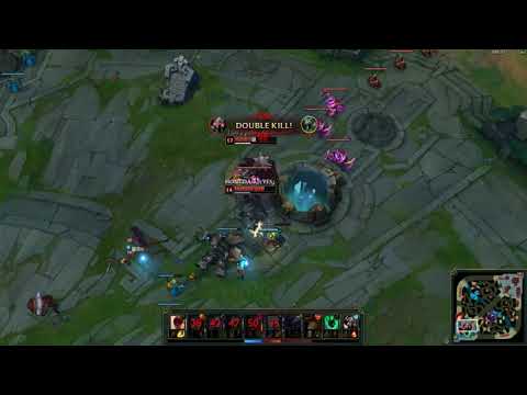 lee sin has been removed from the game