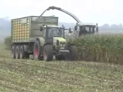 Verbeke: Mais hakselen.